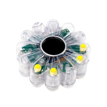 Load image into Gallery viewer, FLOWER GO WALK COLOR (Clear) Card Set